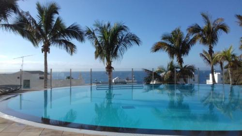 Lago Verde pool and palm trees